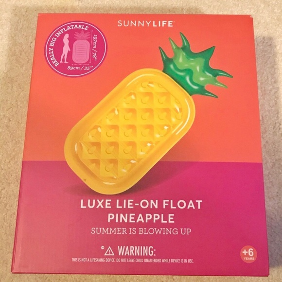 🍍 Beach Floaty - Picture 1 of 2